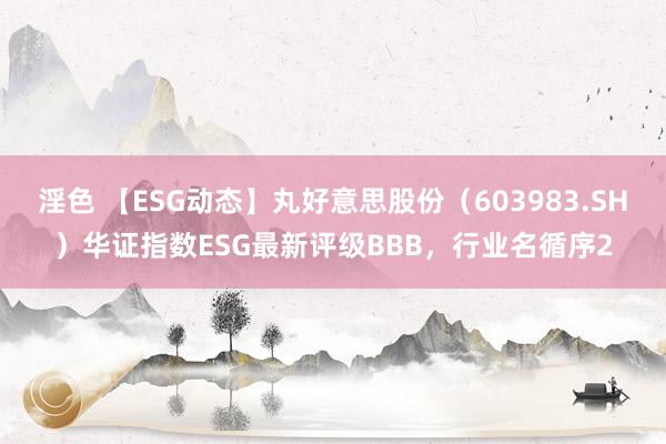 淫色 【ESG动态】丸好意思股份（603983.SH）华证指数ESG最新评级BBB，行业名循序2