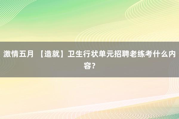 激情五月 【造就】卫生行状单元招聘老练考什么内容？