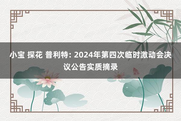 小宝 探花 普利特: 2024年第四次临时激动会决议公告实质摘录