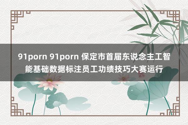 91porn 91porn 保定市首届东说念主工智能基础数据标注员工功绩技巧大赛运行