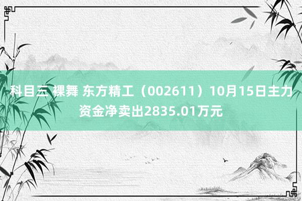 科目三 裸舞 东方精工（002611）10月15日主力资金净卖出2835.01万元