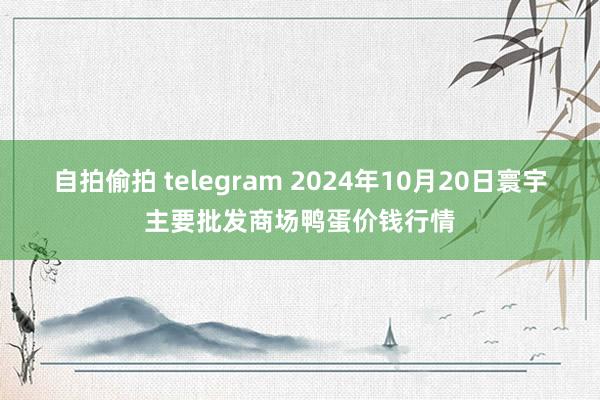 自拍偷拍 telegram 2024年10月20日寰宇主要批发商场鸭蛋价钱行情