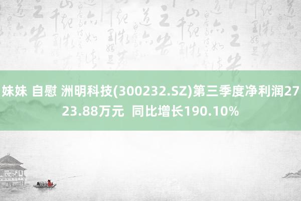 妹妹 自慰 洲明科技(300232.SZ)第三季度净利润2723.88万元  同比增长190.10%