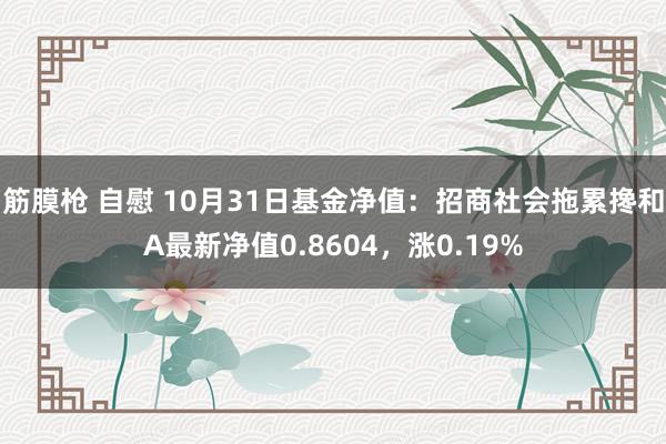 筋膜枪 自慰 10月31日基金净值：招商社会拖累搀和A最新净值0.8604，涨0.19%