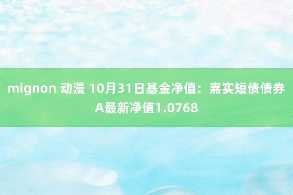 mignon 动漫 10月31日基金净值：嘉实短债债券A最新净值1.0768