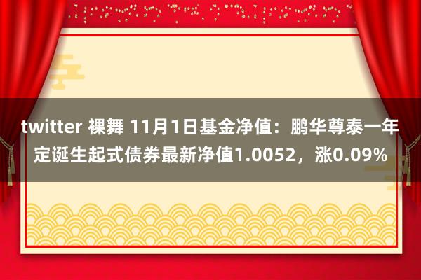 twitter 裸舞 11月1日基金净值：鹏华尊泰一年定诞生起式债券最新净值1.0052，涨0.09%