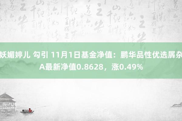 妖媚婷儿 勾引 11月1日基金净值：鹏华品性优选羼杂A最新净值0.8628，涨0.49%