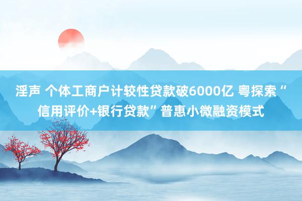 淫声 个体工商户计较性贷款破6000亿 粤探索“信用评价+银行贷款”普惠小微融资模式