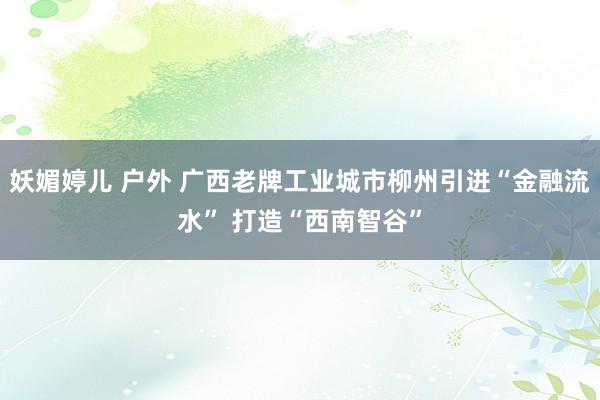 妖媚婷儿 户外 广西老牌工业城市柳州引进“金融流水” 打造“西南智谷”