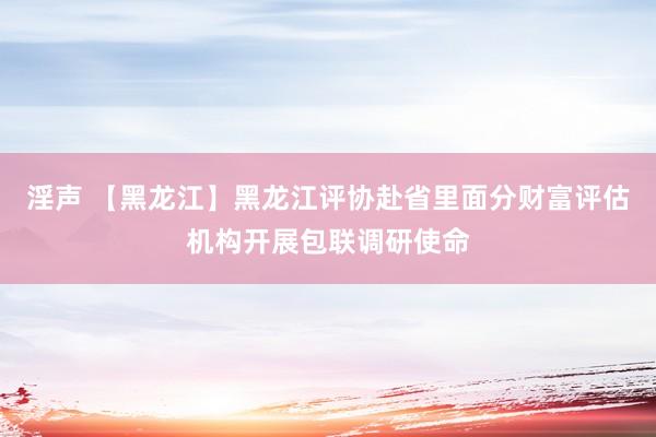 淫声 【黑龙江】黑龙江评协赴省里面分财富评估机构开展包联调研使命