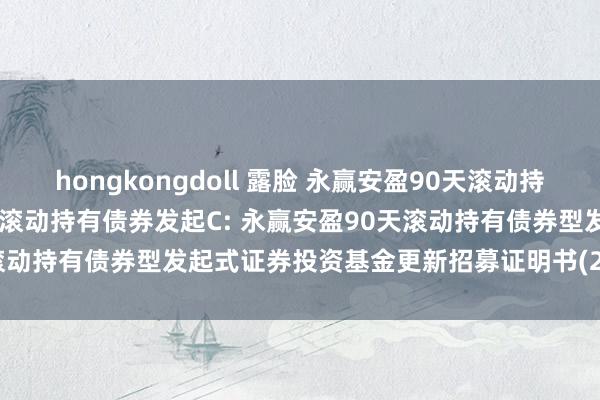 hongkongdoll 露脸 永赢安盈90天滚动持有债券发起A，永赢安盈90天滚动持有债券发起C: 永赢安盈90天滚动持有债券型发起式证券投资基金更新招募证明书(2024年第3号)