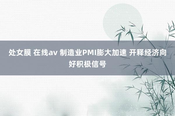 处女膜 在线av 制造业PMI膨大加速 开释经济向好积极信号