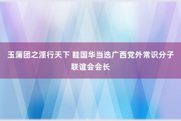 玉蒲团之淫行天下 眭国华当选广西党外常识分子联谊会会长