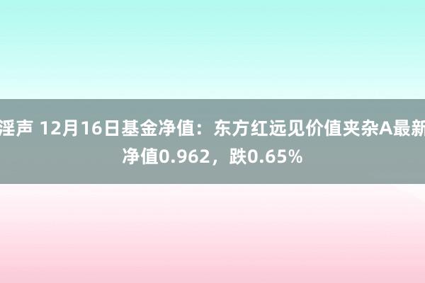 淫声 12月16日基金净值：东方红远见价值夹杂A最新净值0.962，跌0.65%