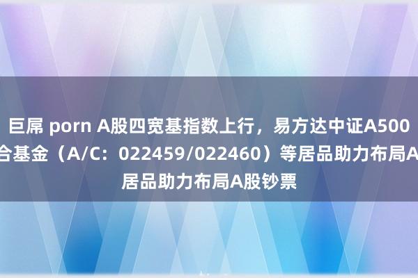 巨屌 porn A股四宽基指数上行，易方达中证A500ETF聚合基金（A/C：022459/022460）等居品助力布局A股钞票