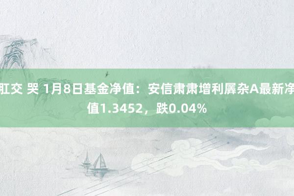 肛交 哭 1月8日基金净值：安信肃肃增利羼杂A最新净值1.3452，跌0.04%