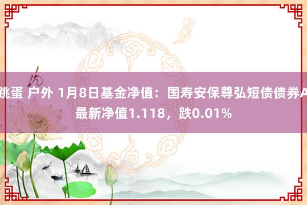 跳蛋 户外 1月8日基金净值：国寿安保尊弘短债债券A最新净值1.118，跌0.01%