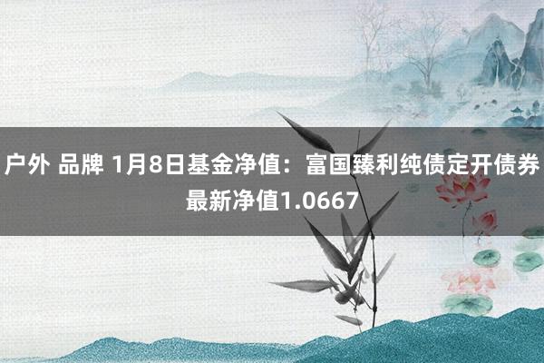 户外 品牌 1月8日基金净值：富国臻利纯债定开债券最新净值1.0667