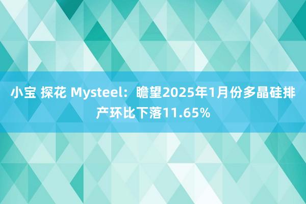 小宝 探花 Mysteel：瞻望2025年1月份多晶硅排产环比下落11.65%