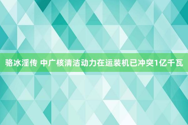 骆冰淫传 中广核清洁动力在运装机已冲突1亿千瓦