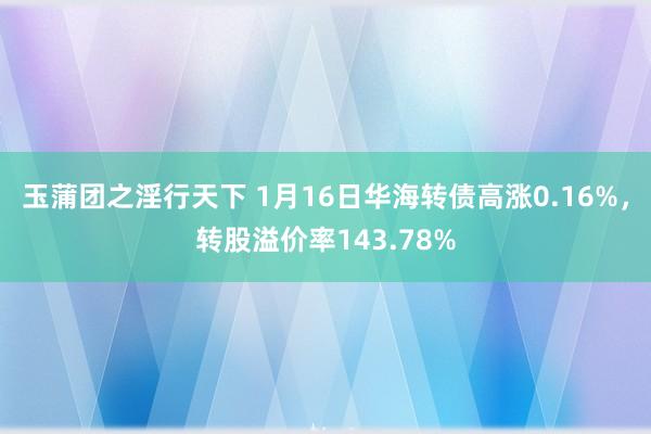 玉蒲团之淫行天下 1月16日华海转债高涨0.16%，转股溢价率143.78%