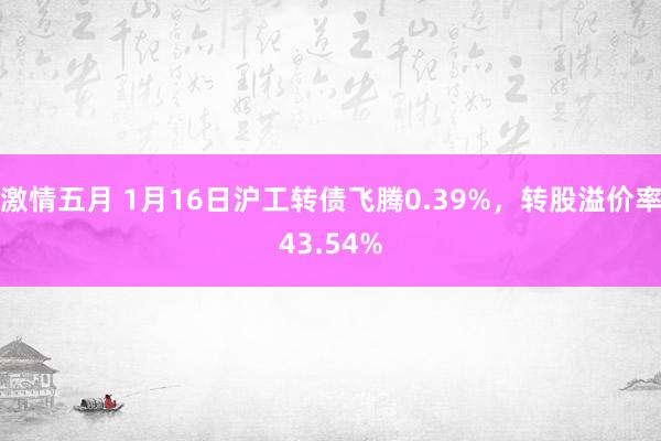 激情五月 1月16日沪工转债飞腾0.39%，转股溢价率43.54%